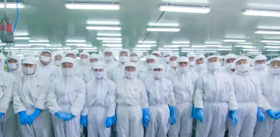 首页- 南宫NG28国际集团官方网站